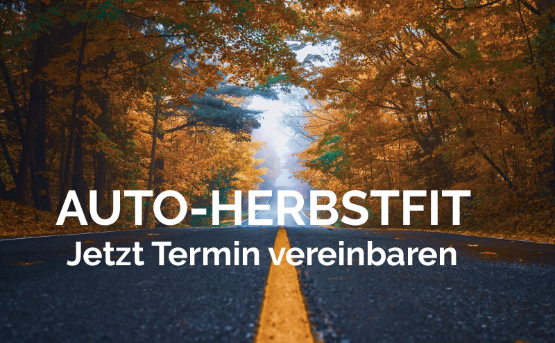 aktionsbild-herbst